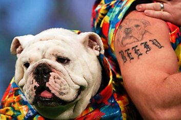 Собачьи тренды  «New York Pet Fashion Show»