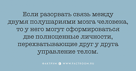 Десятка любопытных фактов, которые приведут вас в изумление