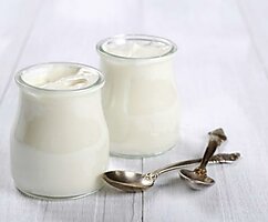 Качественная закваска для йогурта, соответствующая европейским стандартам